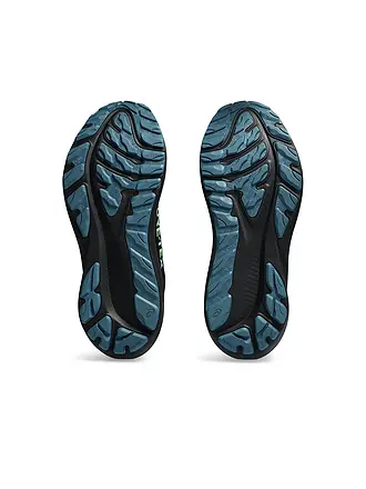 ASICS | Scarpe da running da uomo GT-2000 12 GTX | schwarz